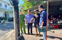 Bắt giữ người lén đốt trụ điện ở Quảng Ngãi