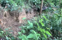Núi Gò Oát nứt toác, đe dọa 61 hộ dân dưới chân núi