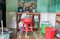 Người dân vùng lũ Quảng Ngãi tất bật dọn dẹp sau trận lũ dữ