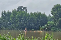 3 người bị lũ cuốn trôi khi qua cầu ngập ở Quảng Ngãi
