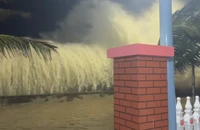 Quảng Ngãi: Hàng loạt nhà dân ngập sâu, 50 nhà tốc mái do bão số 13