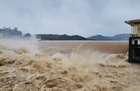Mưa rất to ở Quảng Ngãi, lũ các sông đang lên rất nhanh