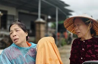 Hòa Thịnh - nơi hạt cơm, hạt gạo quý hơn hạt vàng