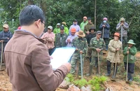Chiếm đất rừng sản xuất trái phép, 4 hộ dân bị phạt hơn 148 triệu đồng