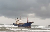 Tàu chữ Trung Quốc không người trôi dạt vào Quảng Ngãi