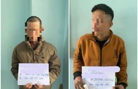Bắt hai người lái xe taxi đi trộm cà phê