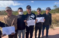 6 người ở Quảng Ngãi bị bắt vì cắt trộm 300 m cáp điện trung thế