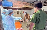 Quảng Ngãi: Siết chặt các lò mổ, ngăn heo bệnh 'đội lốt' thịt sạch dịp Tết