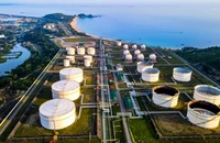 Đảm bảo nguồn cung xăng dầu dịp Tết