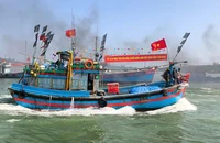 Ngư dân Quảng Ngãi mở biển đầu năm, tàu cá rợp cờ vươn khơi