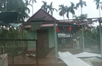 Giông lốc làm tốc mái hơn 15 căn nhà ở Quảng Ngãi