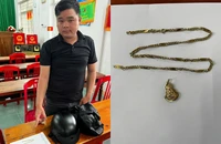 Bắt thanh niên giật dây chuyền của cụ bà 67 tuổi