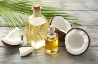 Mỡ máu cao có nên ăn dầu dừa?