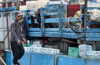 Liên kết tổ đội đánh bắt trên biển, ngư dân Quảng Ngãi trúng đậm