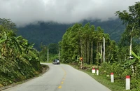 Nguy cơ tai nạn rình rập trên đèo Vi Ô Lắk
