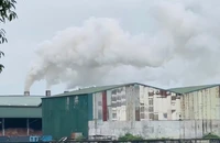 Người dân phản ánh ô nhiễm từ nhà máy viên nén gỗ, yêu cầu quan trắc môi trường