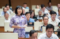 Dự án sân bay Long Thành: Tránh gia hạn rồi tiếp tục chậm trễ 