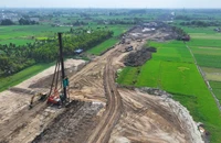 Bài học từ Án lệ 71: Giao dịch về đất đai không nên chỉ dựa vào tình cảm