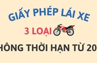 3 loại giấy phép lái xe không có thời hạn theo luật mới
