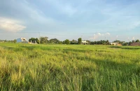 Rút kinh nghiệm vụ án tranh chấp di sản thừa kế và yêu cầu huỷ sổ hồng