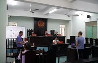 Tổ chức tòa án, viện kiểm sát khu vực thay cấp huyện