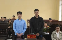 Lãnh án tù vì cho khách không có bằng lái thuê xe, gây tai nạn chết người