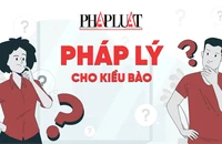 Muốn nhập quốc tịch Việt Nam mà không phải thôi quốc tịch nước ngoài, được không?