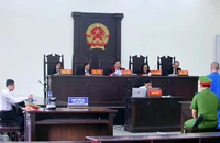 Tội vận chuyển trái phép chất ma túy: Không nên bỏ hình phạt tử hình