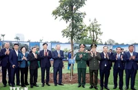 Tổng Bí thư Tô Lâm: Hà Nội phải phấn đấu là 'Thành phố trong rừng, rừng trong Thành phố'