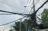 Đề xuất cắt điện, nước; tạm ngừng xuất cảnh để cưỡng chế thi hành quyết định xử phạt hành chính