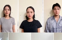 Không tố giác tội phạm, khi nào thì bị xử lý hình sự? 
