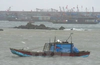 Quảng Ninh đề nghị Thủ tướng điều trực thăng hỗ trợ tìm tàu thuyền, người sau bão số 3
