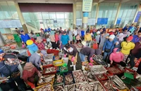 Hoạt động mua bán tấp nập ở cảng cá lớn nhất miền Trung