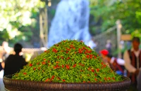 Độc đáo lễ hội ớt A Riêu ở Cổng trời Đông Giang