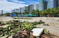 Rác dạt vào biển Đà Nẵng sau bão số 4, huy động 100 công nhân đi dọn