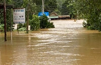 Nhiều khu vực miền núi ở Đà Nẵng bị ngập sâu do mưa lớn
