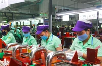 Đà Nẵng: Tiền thưởng Tết 2025 cao nhất lên đến 700 triệu đồng