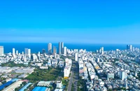 Chủ tịch quận, phường ở Đà Nẵng được làm những gì khi tổ chức chính quyền đô thị?