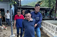Xoá tụ điểm đá gà liên tỉnh ở Đà Nẵng