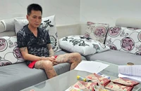 Phát hiện 5.000 viên ma tuý tổng hợp ngụy trang thức ăn kiêng 