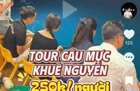 Đà Nẵng: Dịch vụ câu mực trái phép nhưng TikToker vẫn kêu gọi trải nghiệm