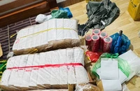 Công an Đà Nẵng bắt 5 kẻ buôn ma tuý dạng cỏ Mỹ lớn nhất từ trước tới nay
