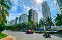 Đà Nẵng có giải pháp gì sau vụ nhiều khách sạn ven biển bị xử phạt về môi trường?