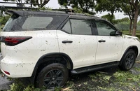 Giải cứu thành công 6 người ở Đà Nẵng bị mắc kẹt trong ô tô vì cây đổ
