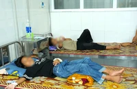 Sau vụ 40 học sinh ngộ độc, Quảng Trị kiểm tra đột xuất các bếp ăn trường học