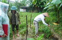 Xuất hiện một số hố sụt lún, uy hiếp các căn nhà tại Quảng Trị