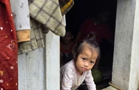Ông bà tất tưởi bế 6 đứa cháu ngoại lên gác trốn lũ