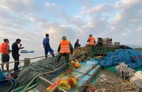 Tàu cá TP.HCM chìm trên biển Quảng Trị, 4 ngư dân được cứu sống