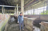 100% cơ sở giết mổ tập trung ở Quảng Trị chưa đạt chuẩn về môi trường