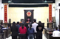 Nhiều người bị xử lý về tội trốn thuế và mua bán trái phép hoá đơn